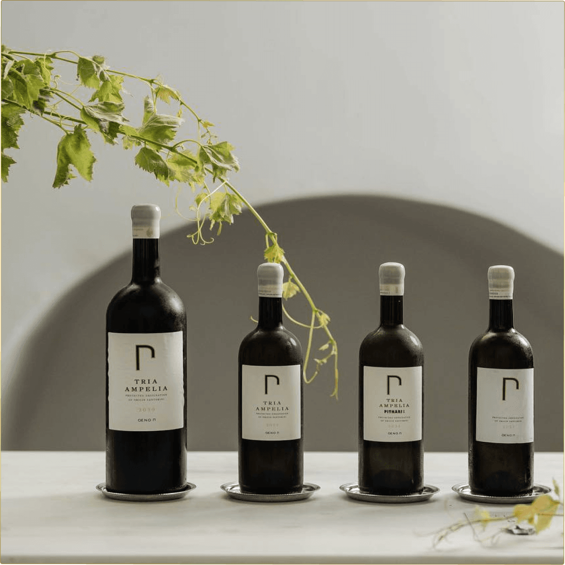 Wine bottles collection