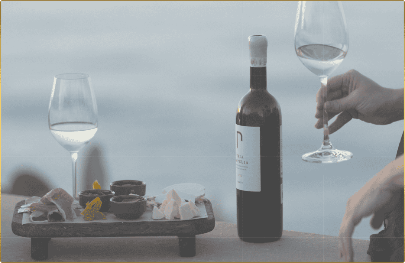 OENO P wine production facility