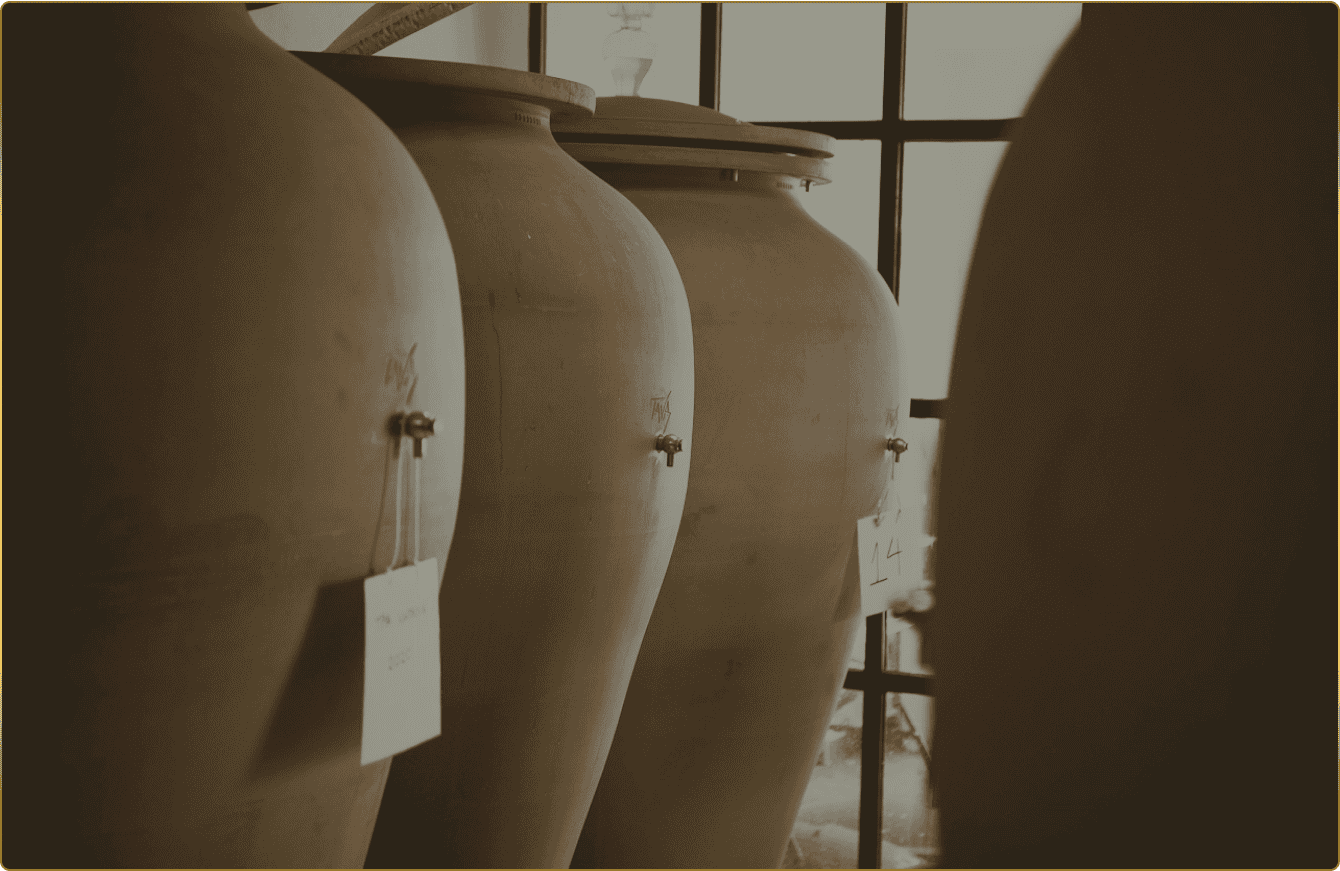 OENO P amphora wine aging