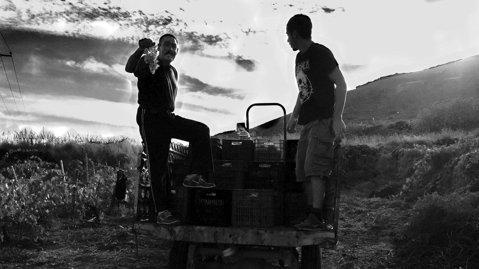 The silent partnership between man and earth in Santorini viticulture