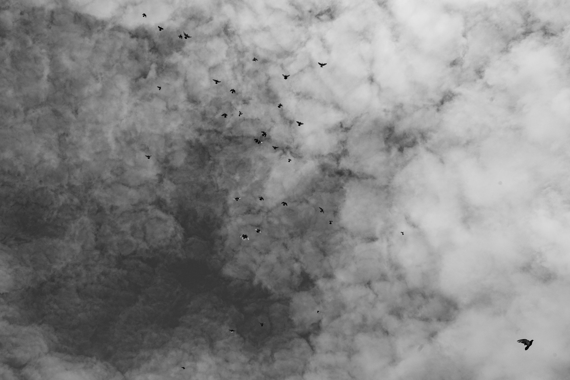 A dove in flight — freedom above the volcanic Santorini island